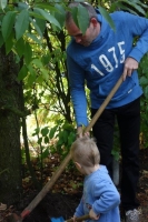 Eiche pflanzen 2018